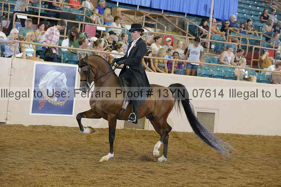Proof 13yn_07614