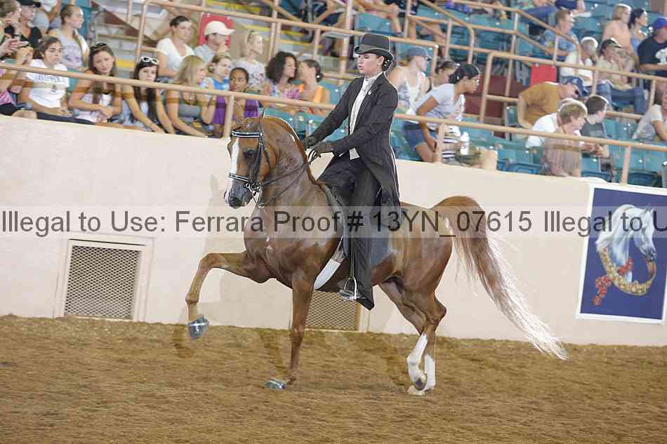 Proof 13yn_07615