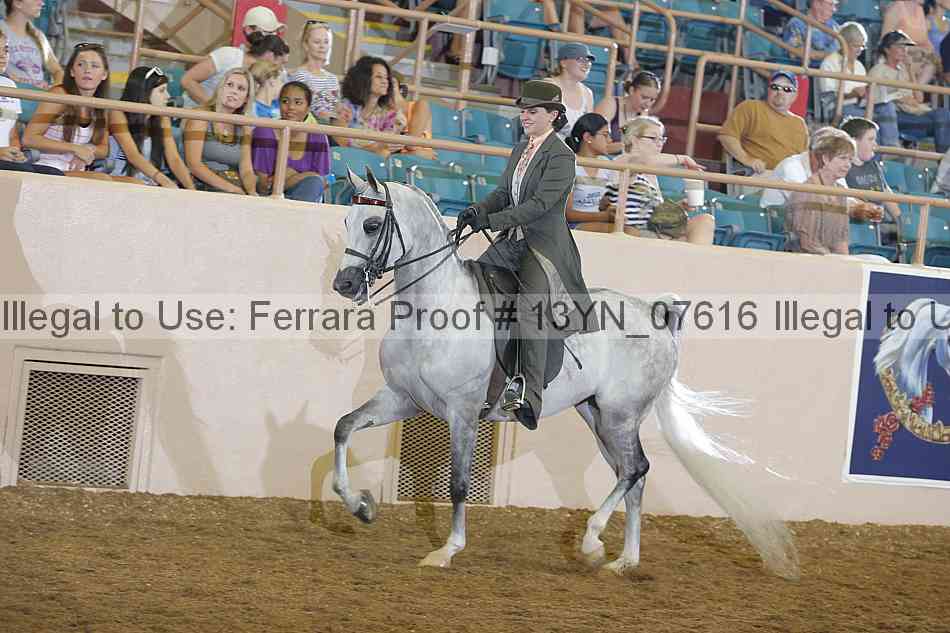 Proof 13yn_07616