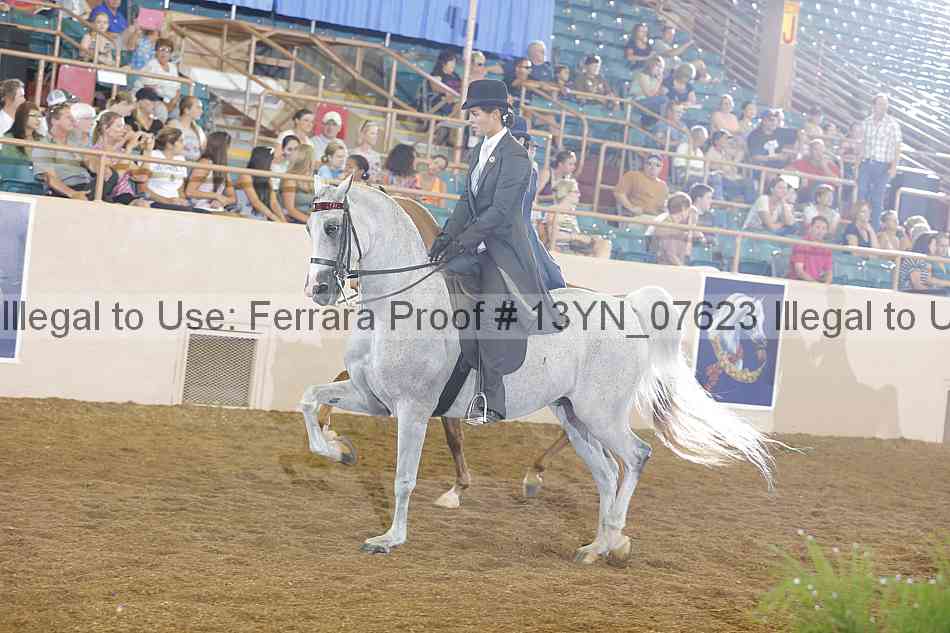 Proof 13yn_07623