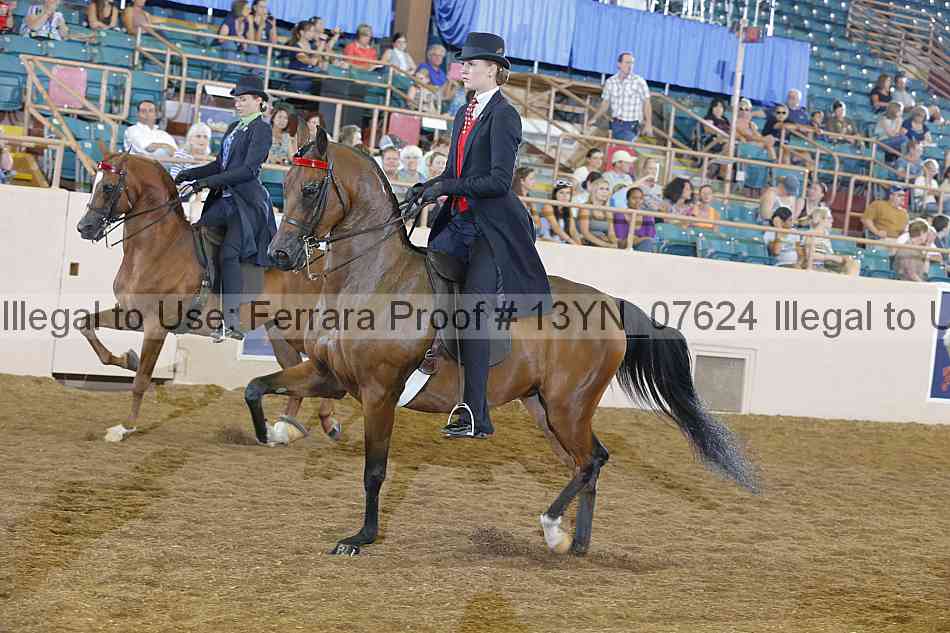 Proof 13yn_07624