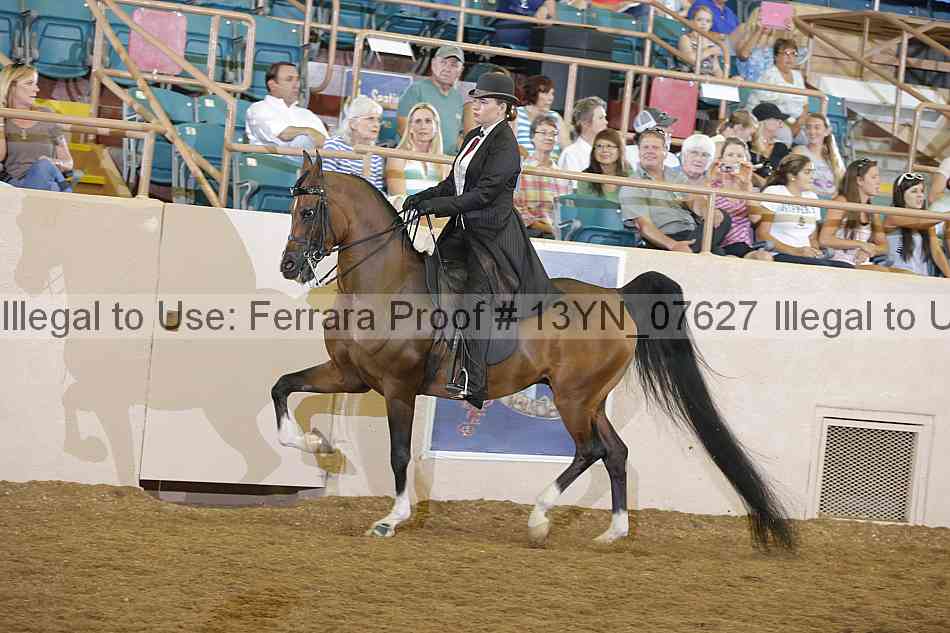Proof 13yn_07627