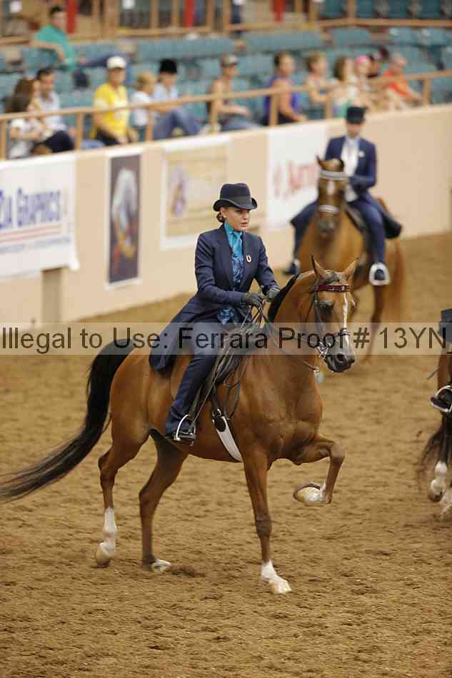 Proof 13yn_07629