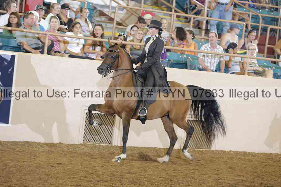Proof 13yn_07633
