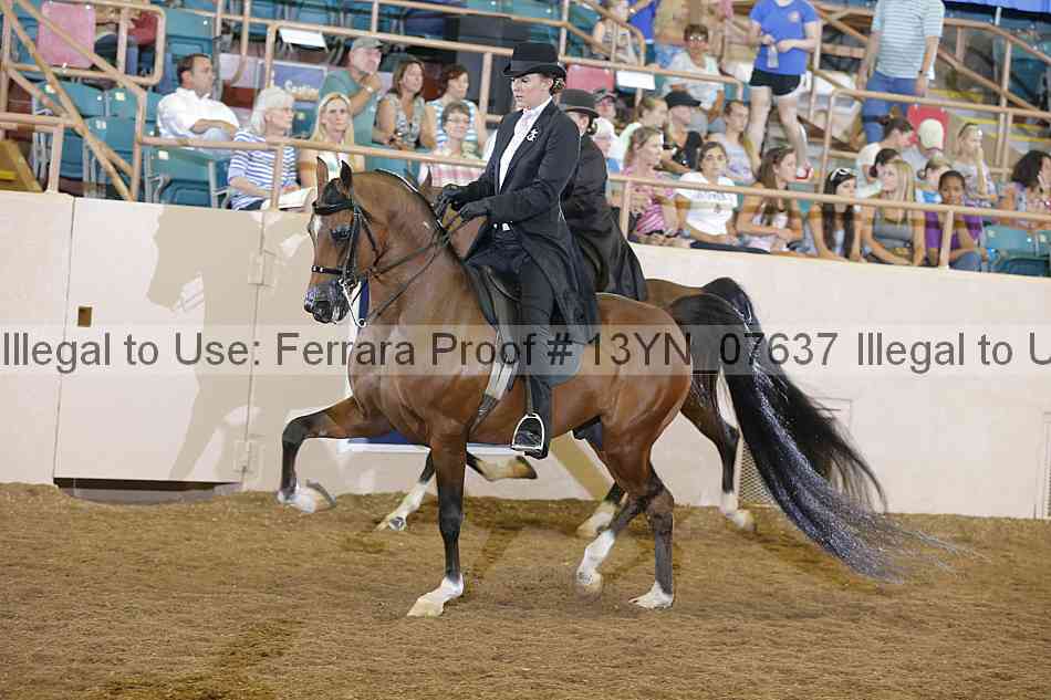 Proof 13yn_07637