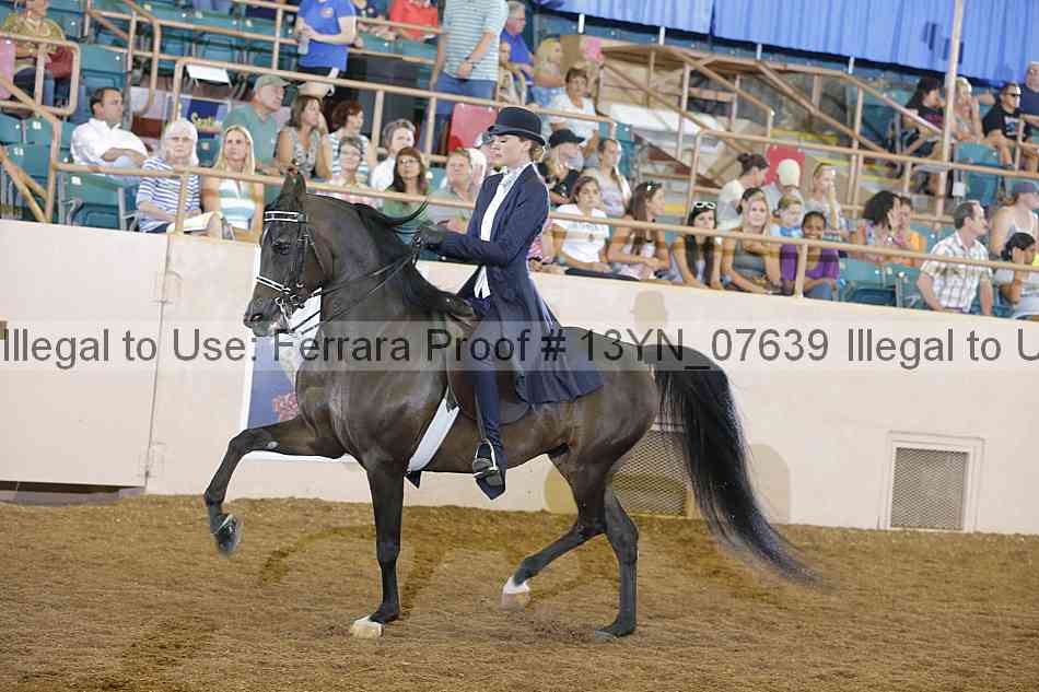 Proof 13yn_07639