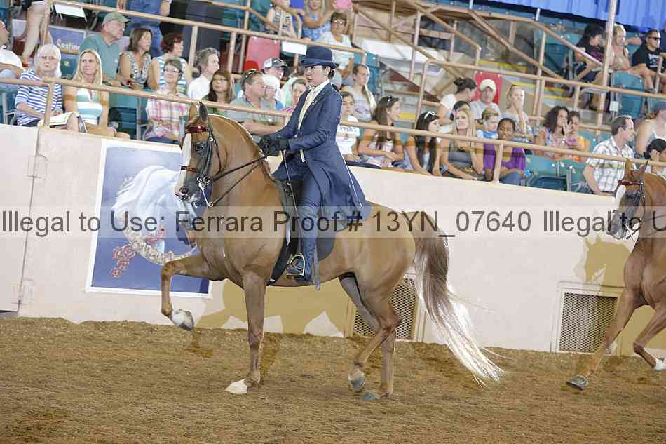 Proof 13yn_07640