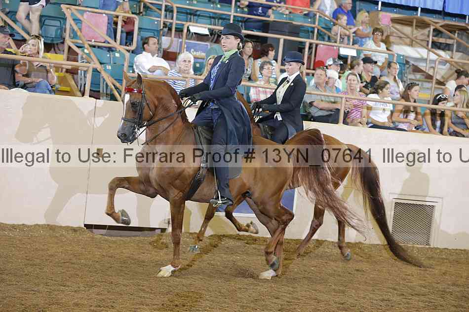 Proof 13yn_07641