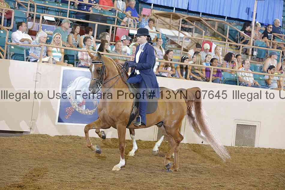 Proof 13yn_07645