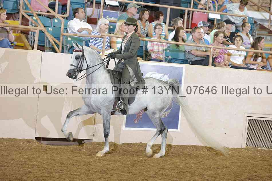 Proof 13yn_07646
