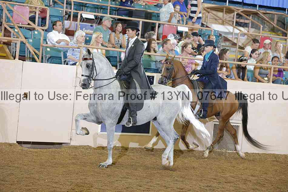 Proof 13yn_07647