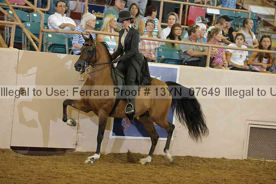 Proof 13yn_07649