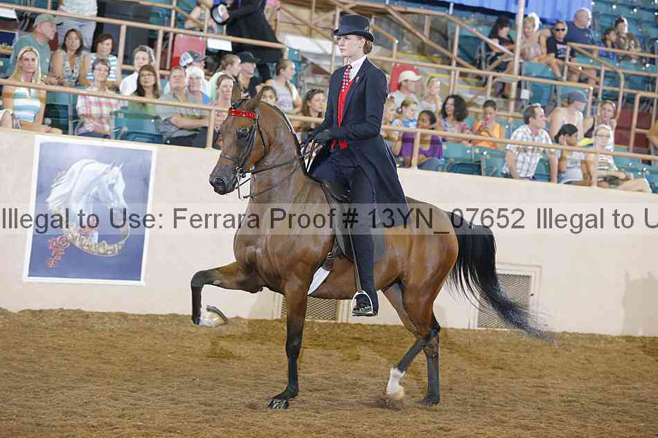 Proof 13yn_07652