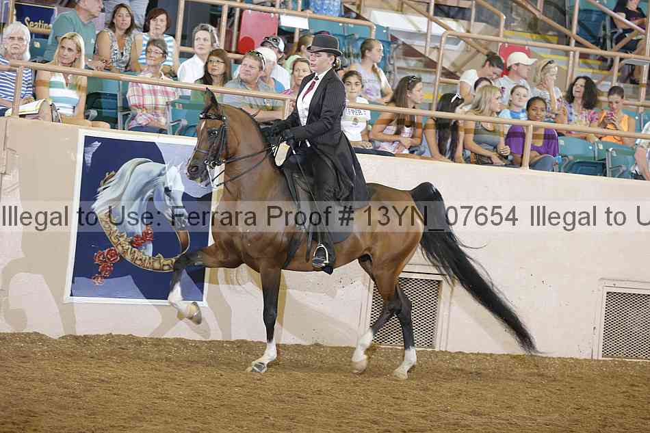 Proof 13yn_07654