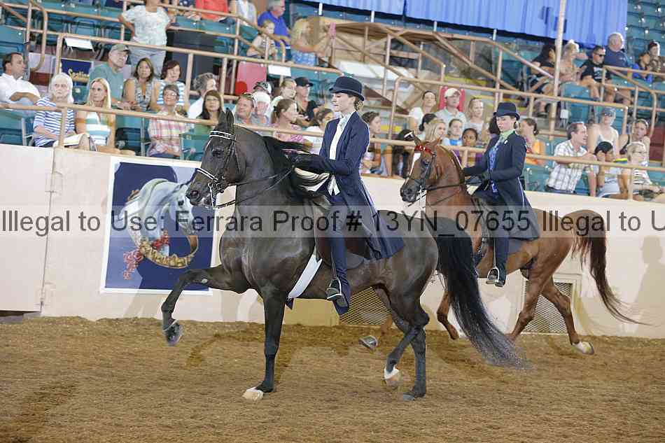 Proof 13yn_07655