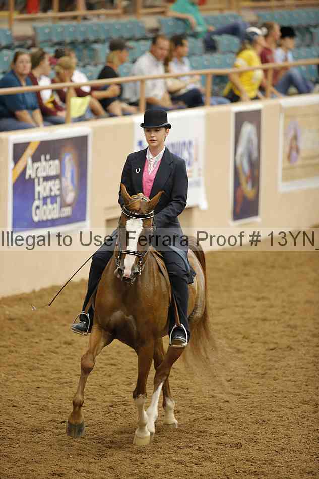 Proof 13yn_07656