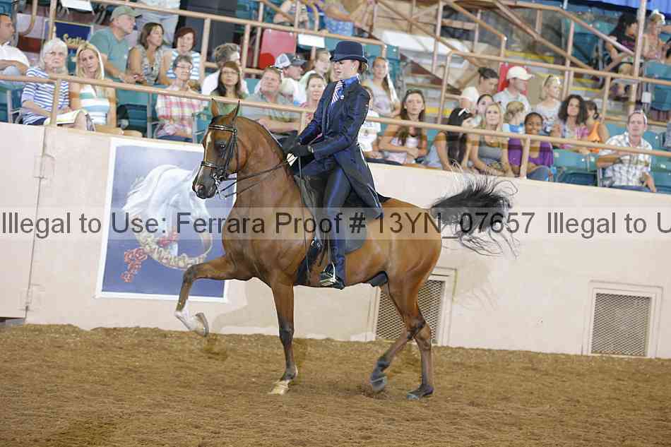 Proof 13yn_07657