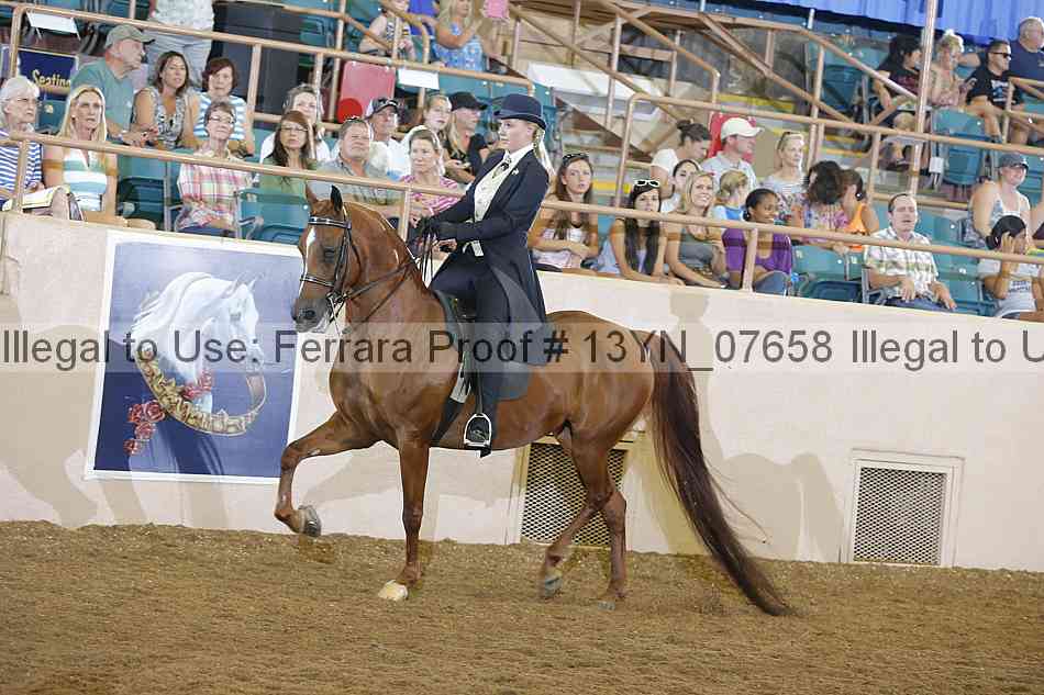 Proof 13yn_07658