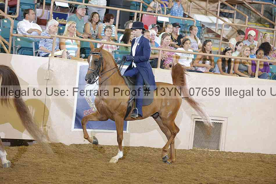Proof 13yn_07659