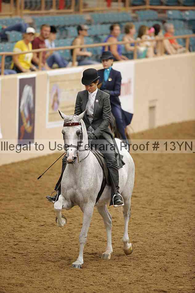 Proof 13yn_07660