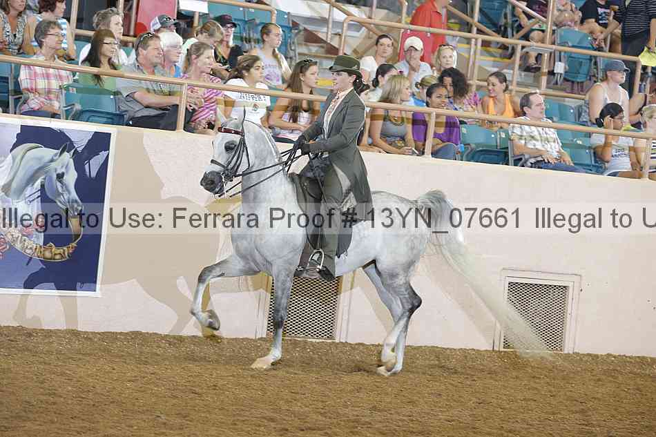 Proof 13yn_07661