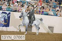 13yn_07661 proof