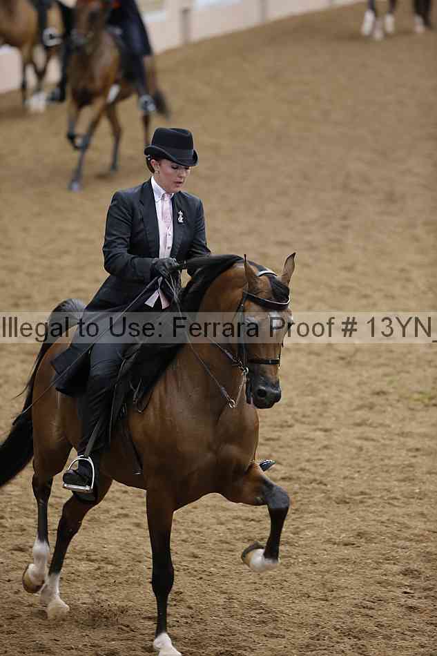 Proof 13yn_07662