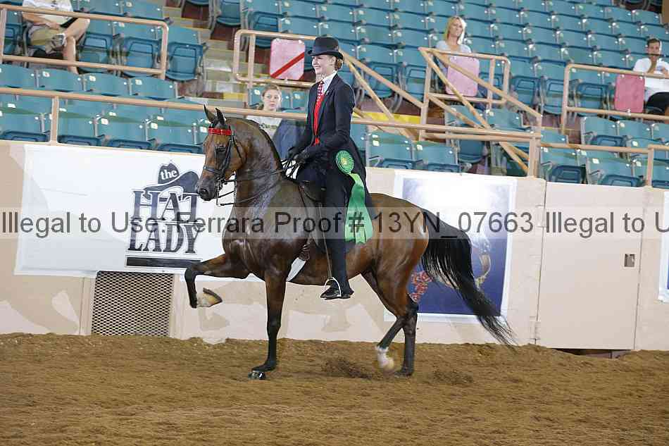 Proof 13yn_07663