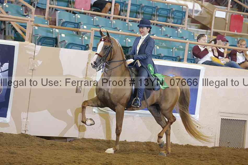 Proof 13yn_07666