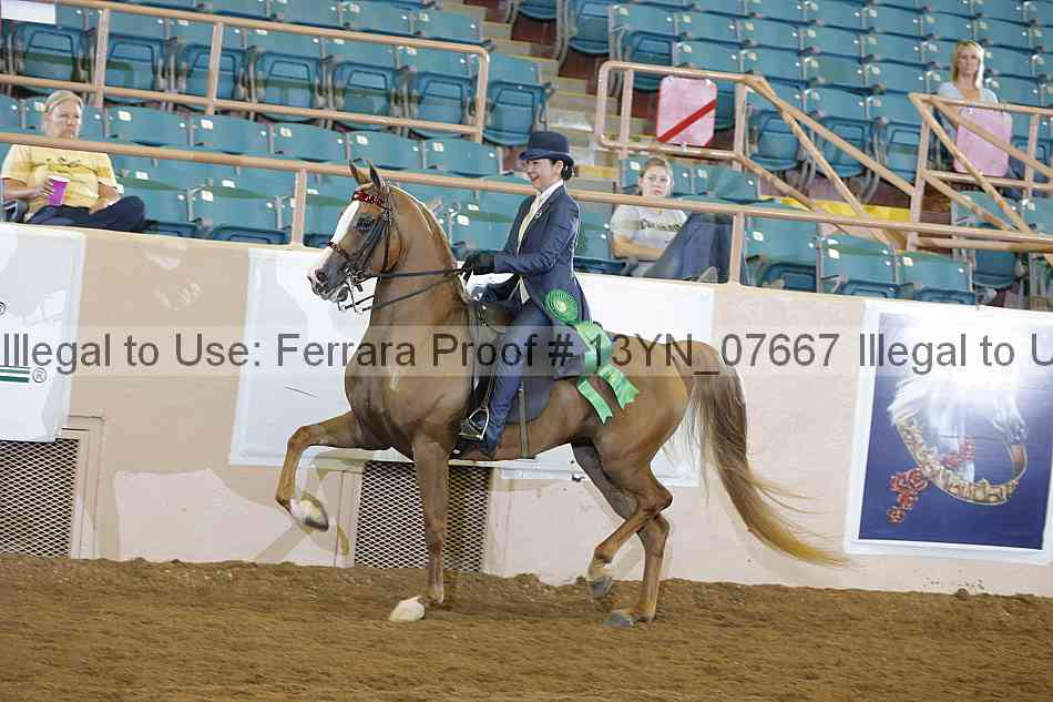 Proof 13yn_07667