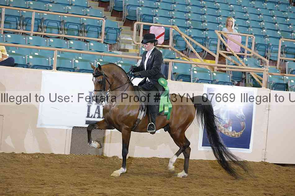 Proof 13yn_07669