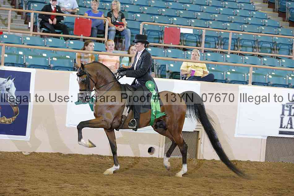 Proof 13yn_07670