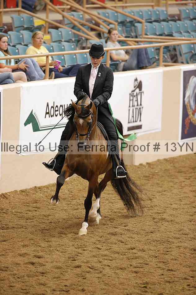 Proof 13yn_07671