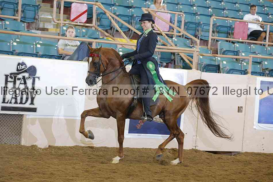 Proof 13yn_07672
