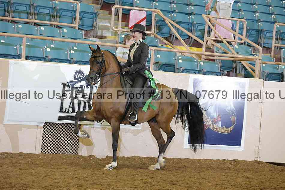 Proof 13yn_07679