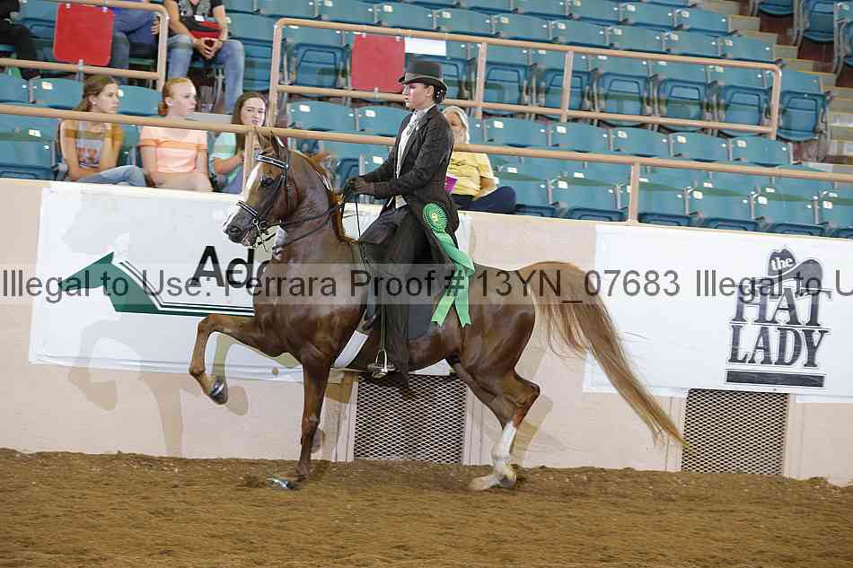 Proof 13yn_07683