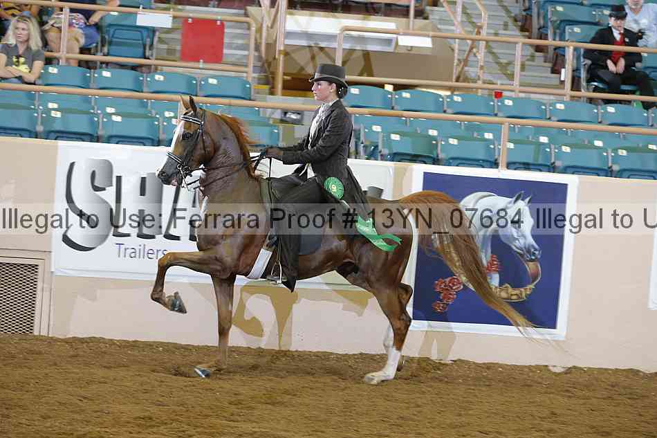 Proof 13yn_07684