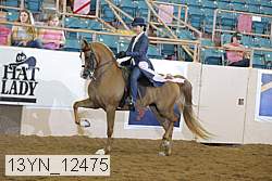 13yn_12475 proof