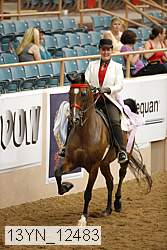 13yn_12483 proof