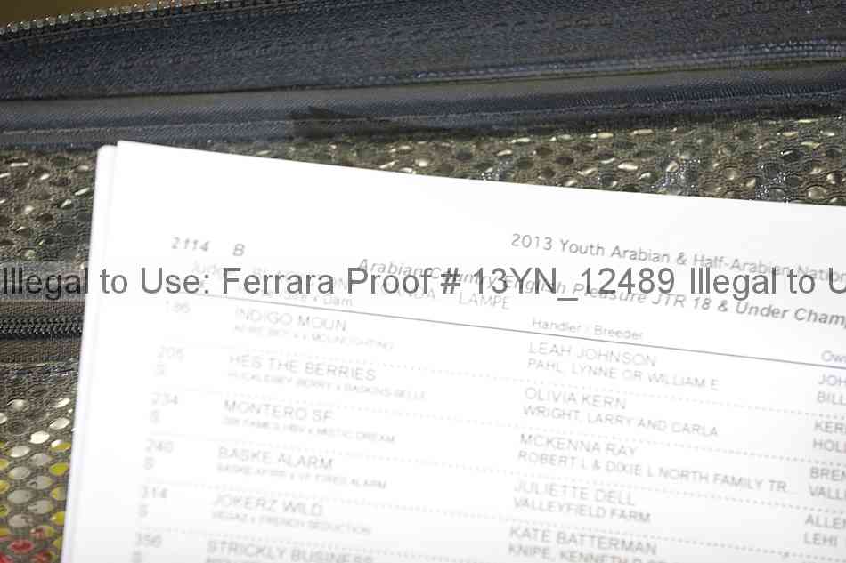 Proof 13yn_12489