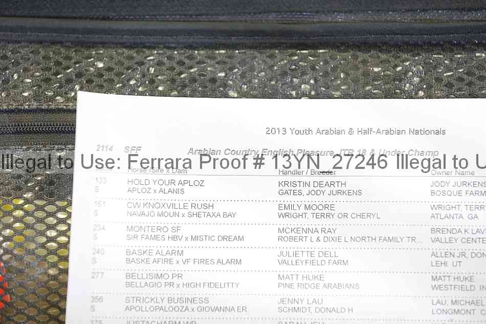 Proof 13yn_27246