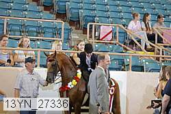 13yn_27336 proof