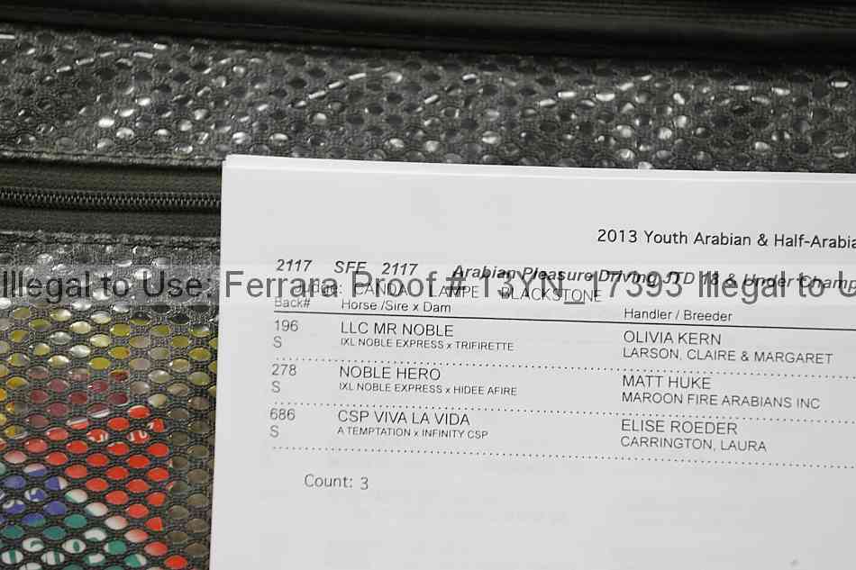 Proof 13yn_17393