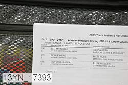 13yn_17393 proof