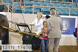 13yn_17409 proof