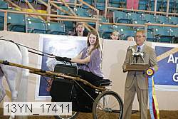 13yn_17411 proof
