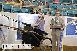 13yn_17412 proof