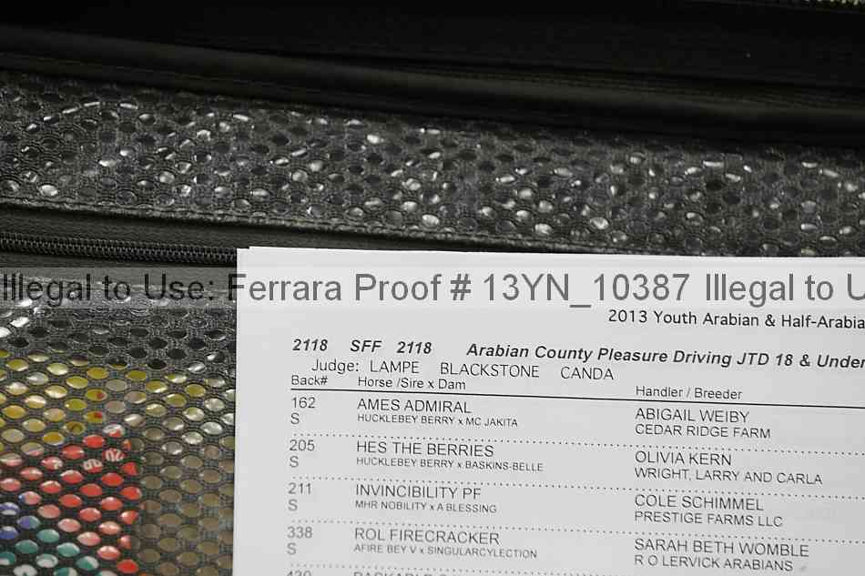 Proof 13yn_10387