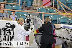 13yn_10427 proof