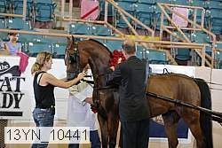13yn_10441 proof